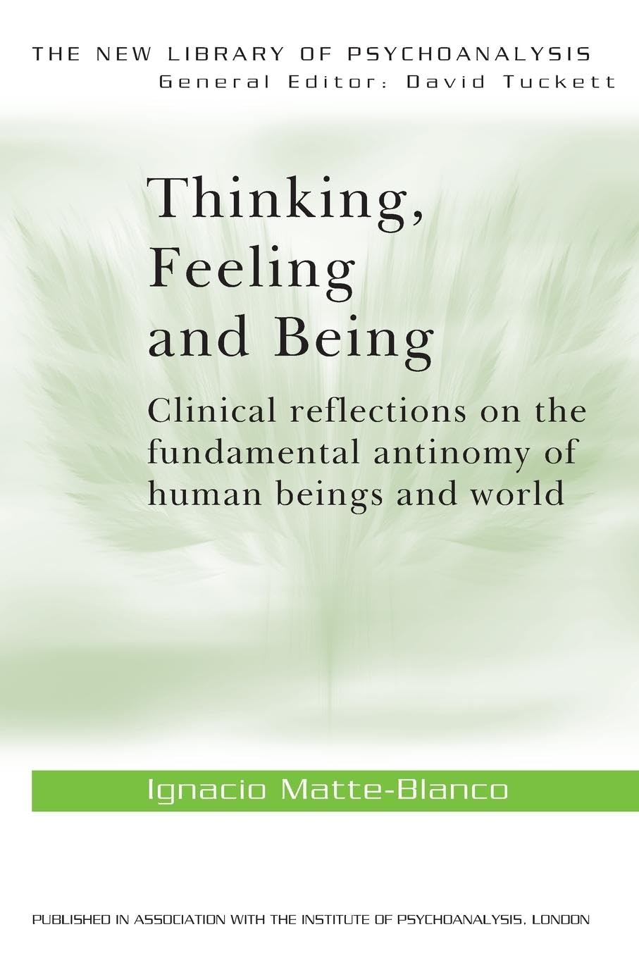 Thinking, Feeling, and Being (The New Library of Psychoanalysis, 5, Band 5) Social Sciences