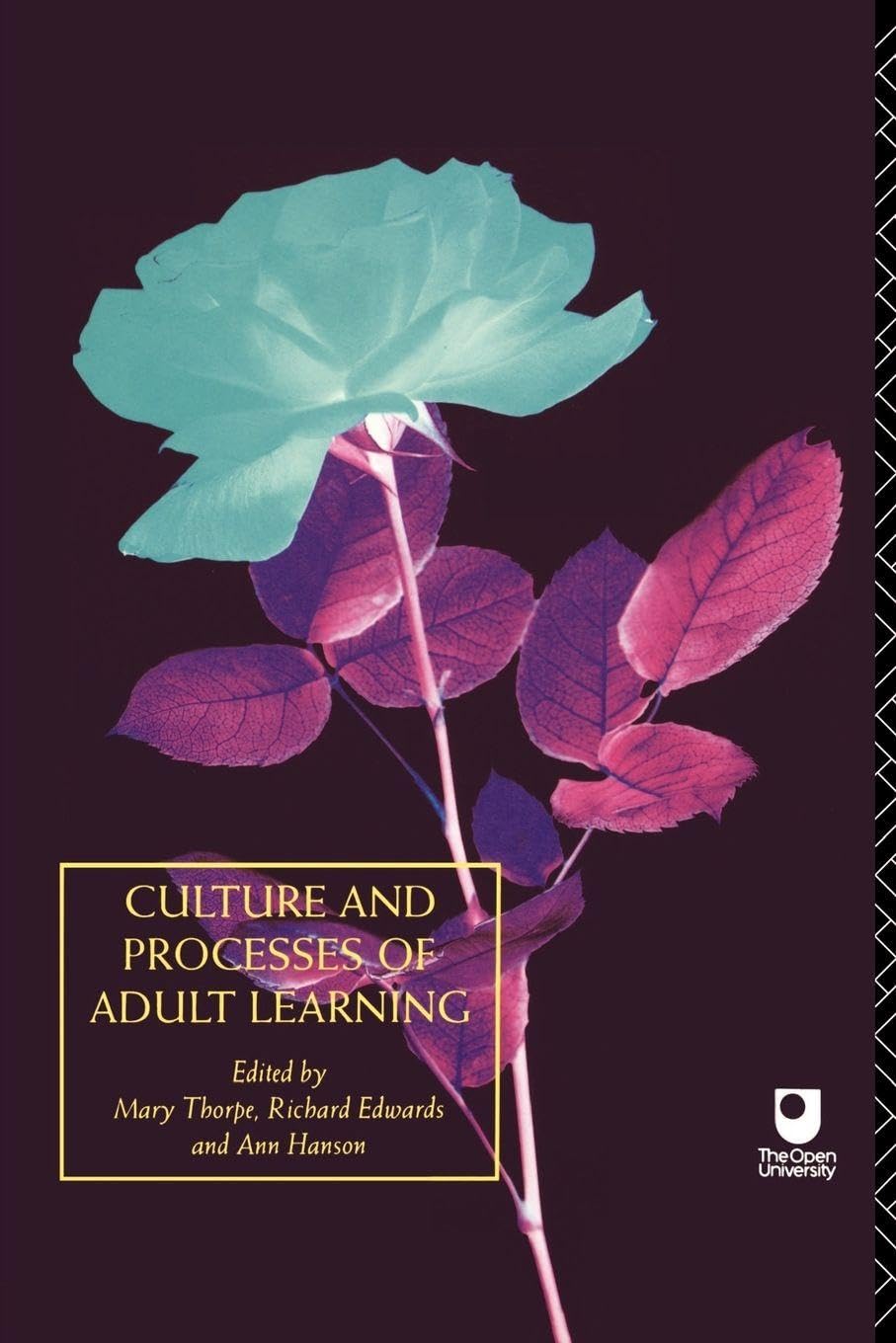 Culture and Processes of Adult Learning General education