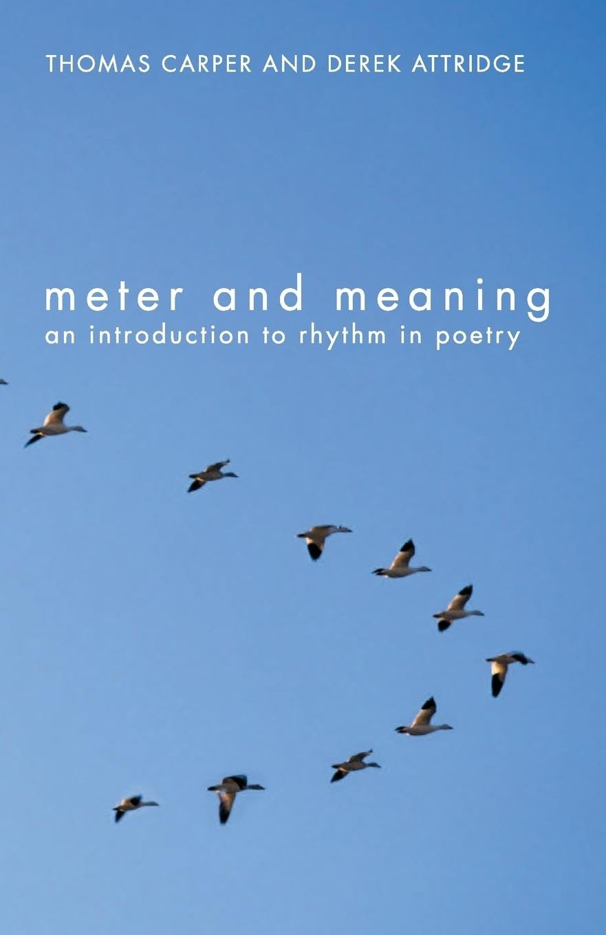 Meter and Meaning: An Introduction to Rhythm in Poetry Poetry