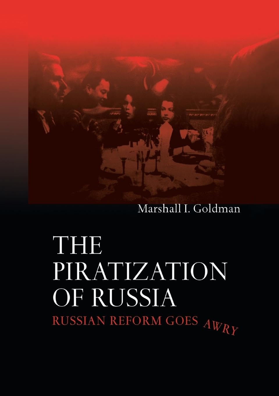 The Piratization of Russia book