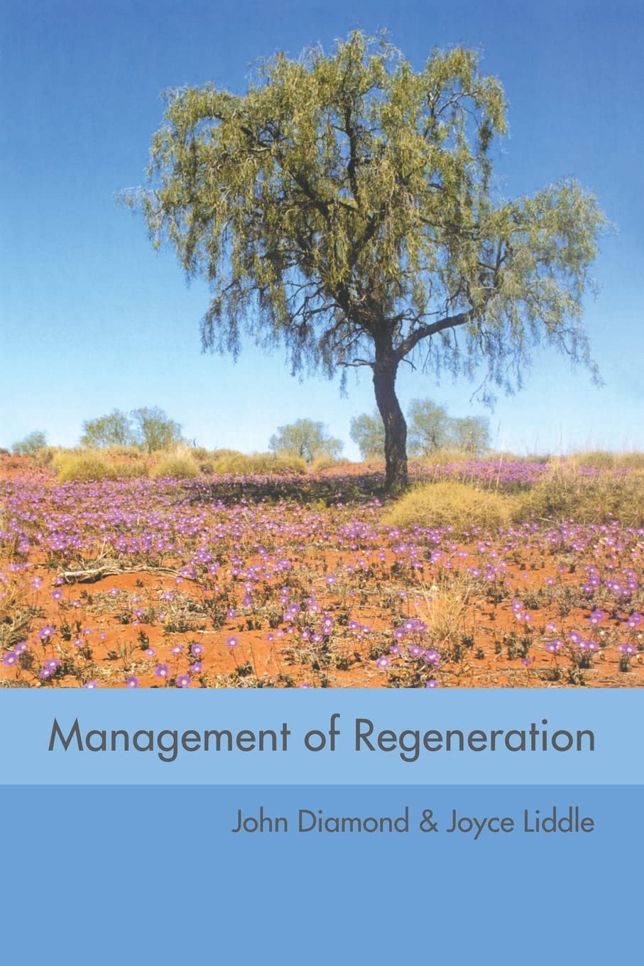 Management of Regeneration: Choices, Challenges and Dilemmas Social Sciences