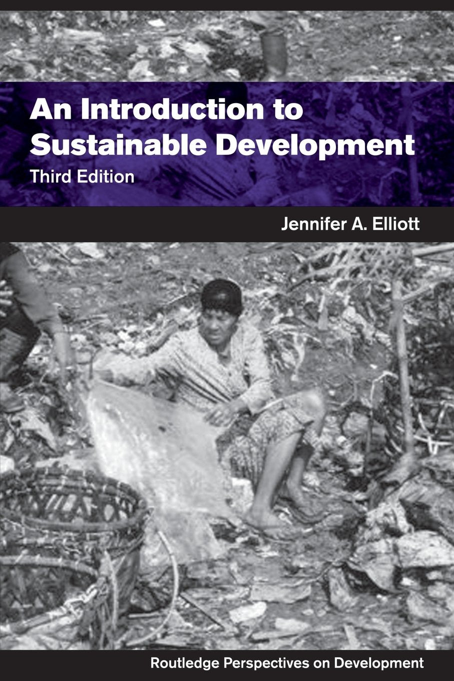 Product Image: An Introduction to Sustainable Development (Routledge Perspectives on Development)