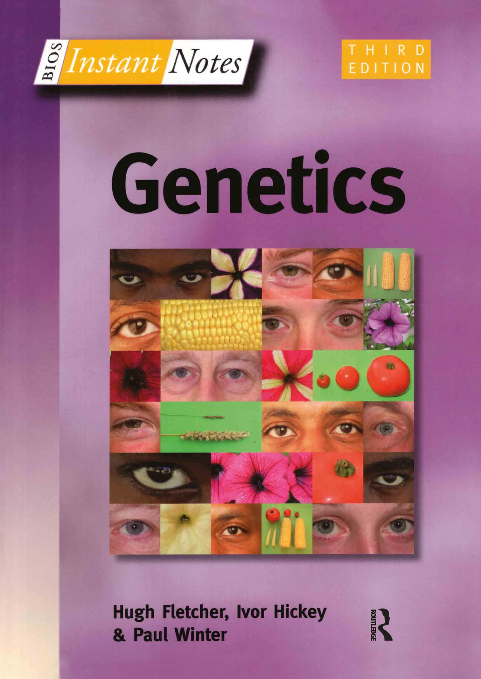 Genetics: Critical Concepts in Social And Cultural Theory Medicine