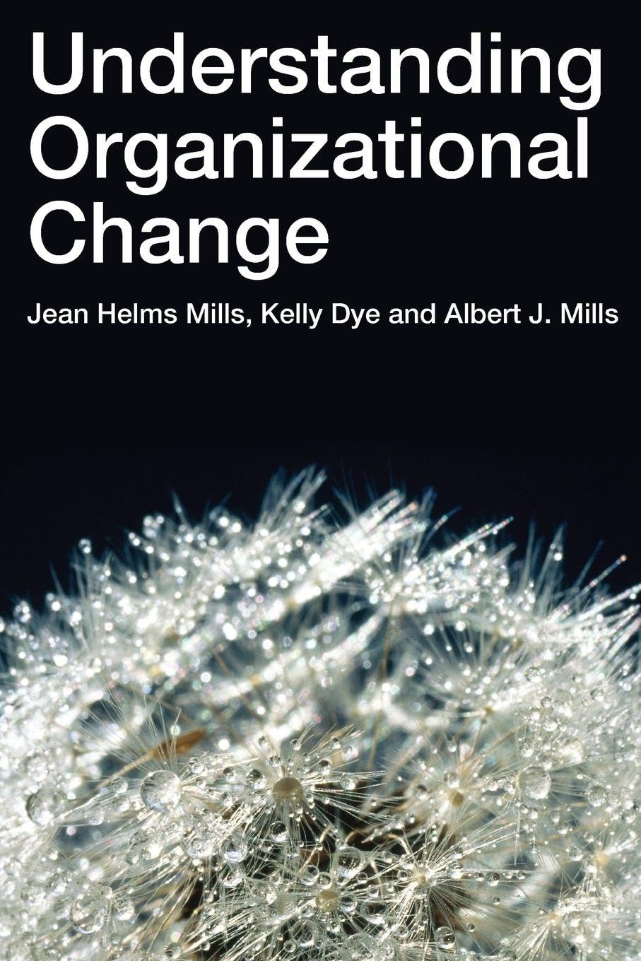 Product Image: Understanding Organizational Change