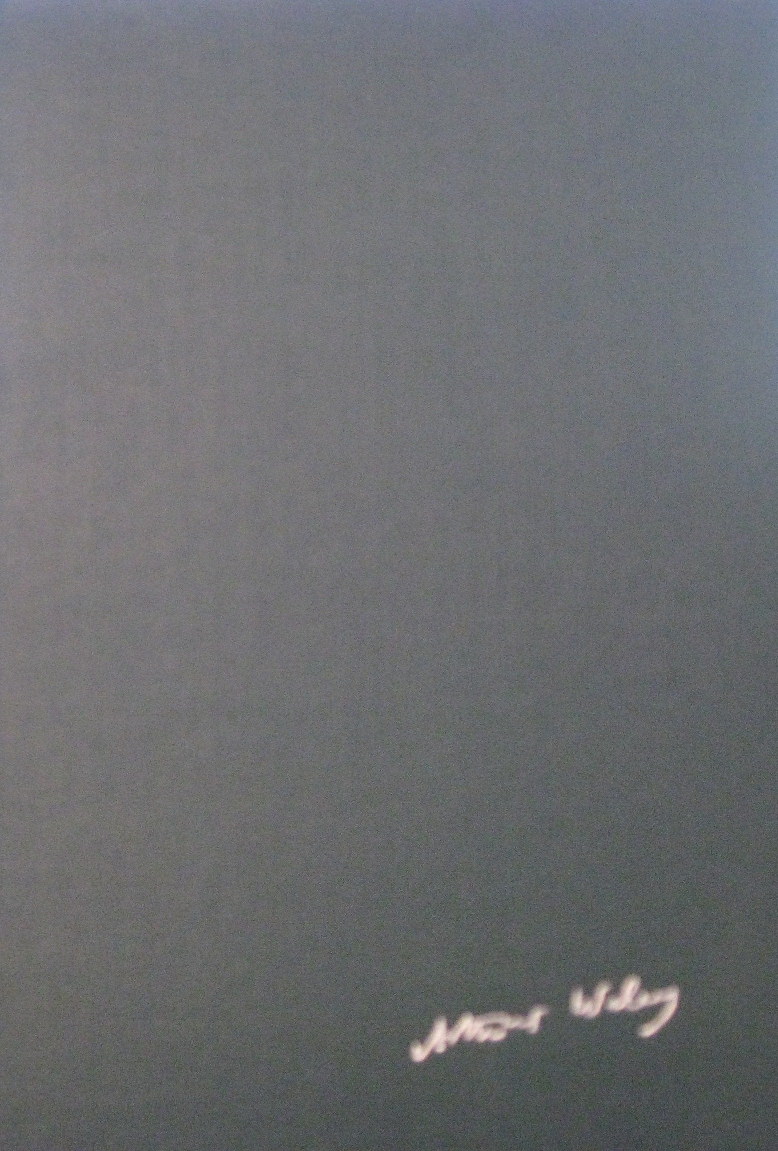 Chinese Poems (China: History, Philosophy, Economics, 31, Band 31) Poetry