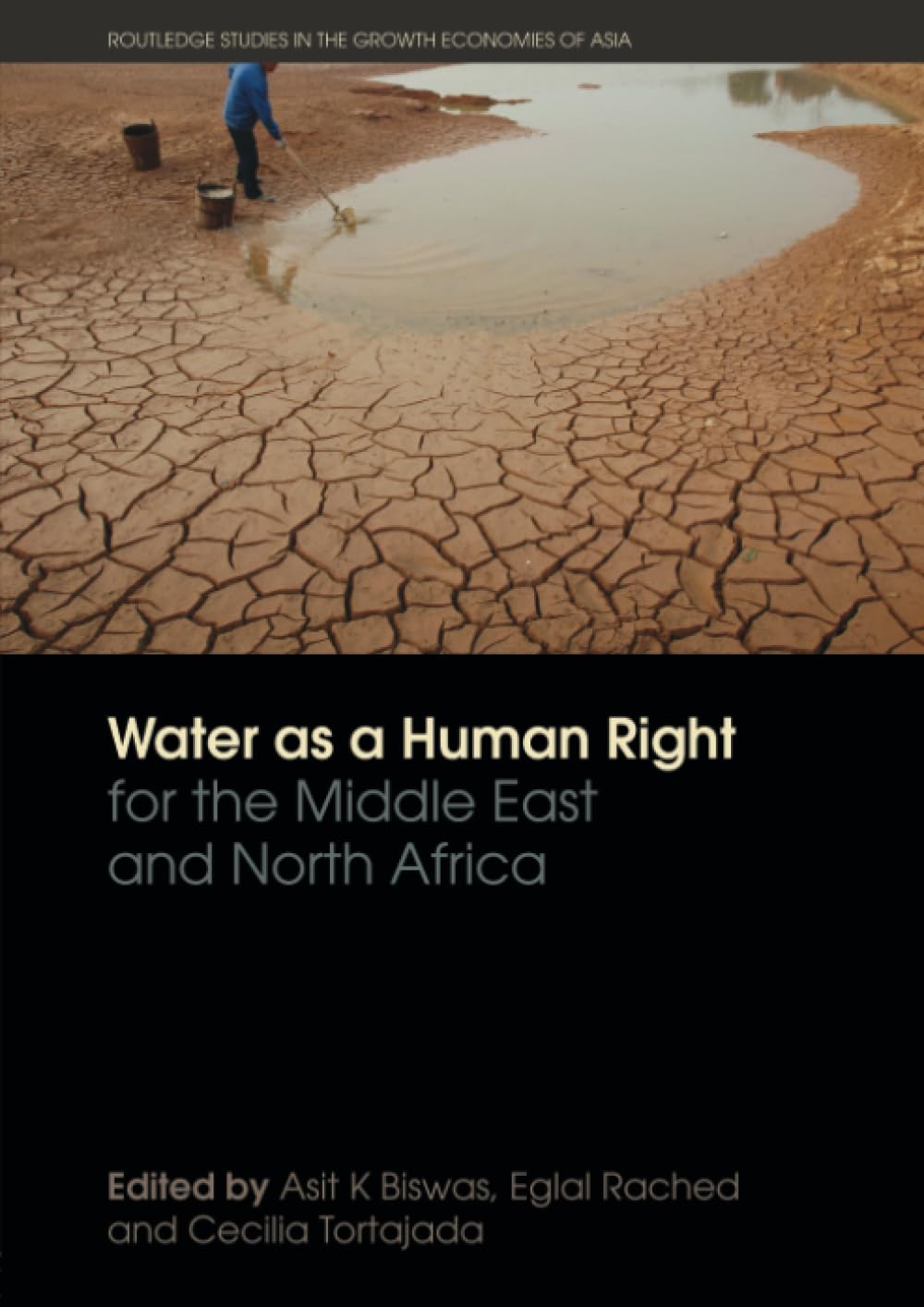 Water as a Human Right for the Middle East and North Africa (Routledge Special Issues on Water Policy and Governance) Social Sciences