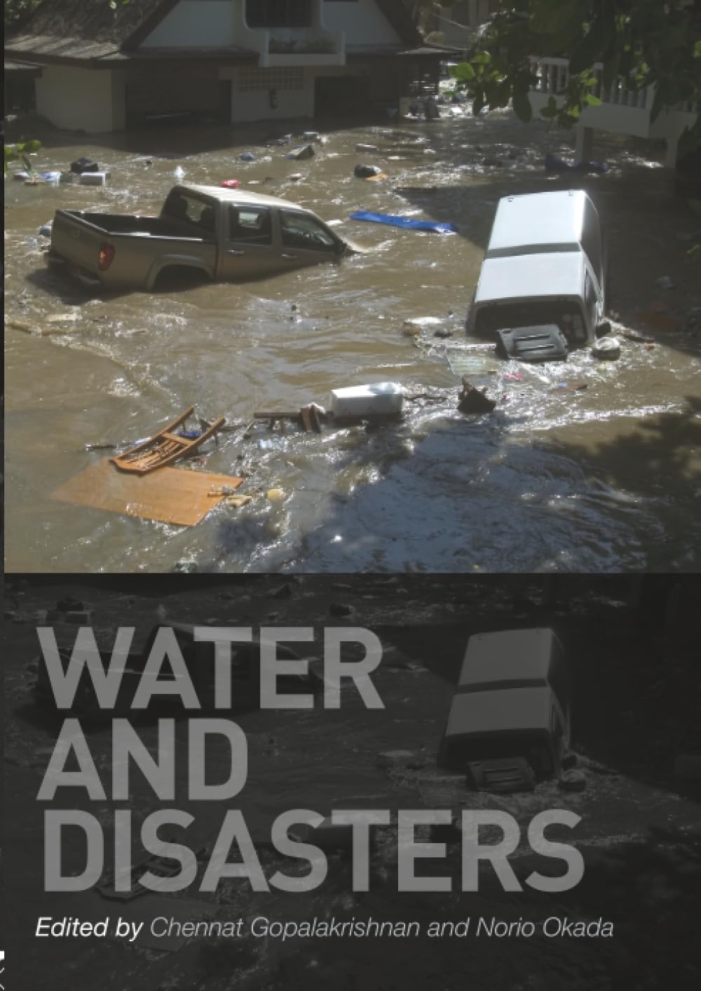 Water and Disasters (Routledge Special Issues on Water Policy and Governance) Social Sciences