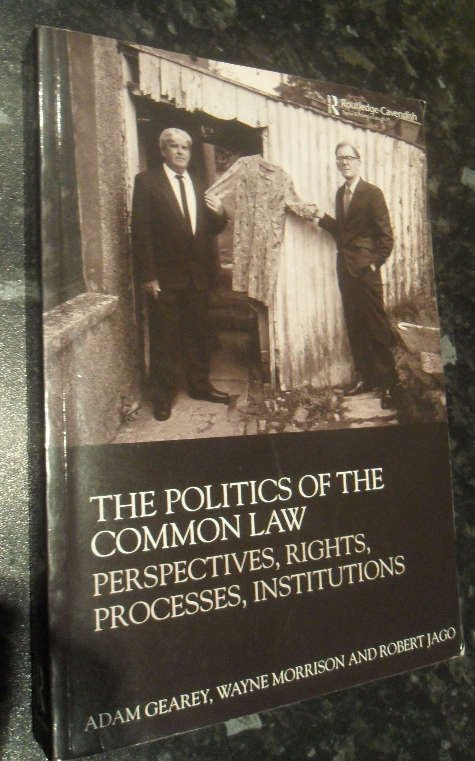 The Politics of the Common Law: Perspectives, Rights, Processes, Institutions Law