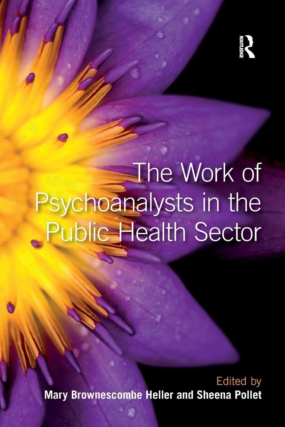 The Work of Psychoanalysts in the Public Health Sector Medicine