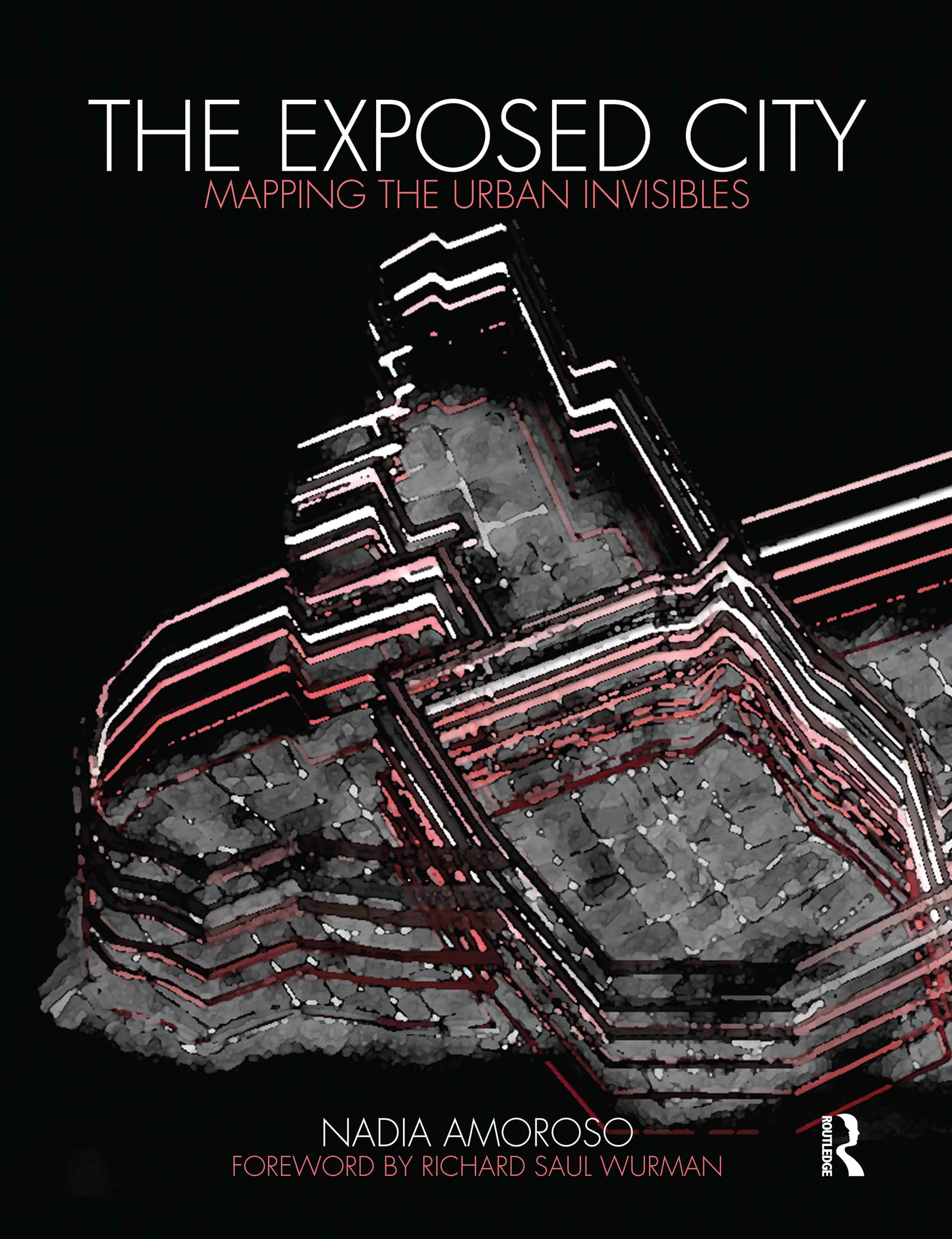 The Exposed City: Mapping the Urban Invisibles Social Sciences