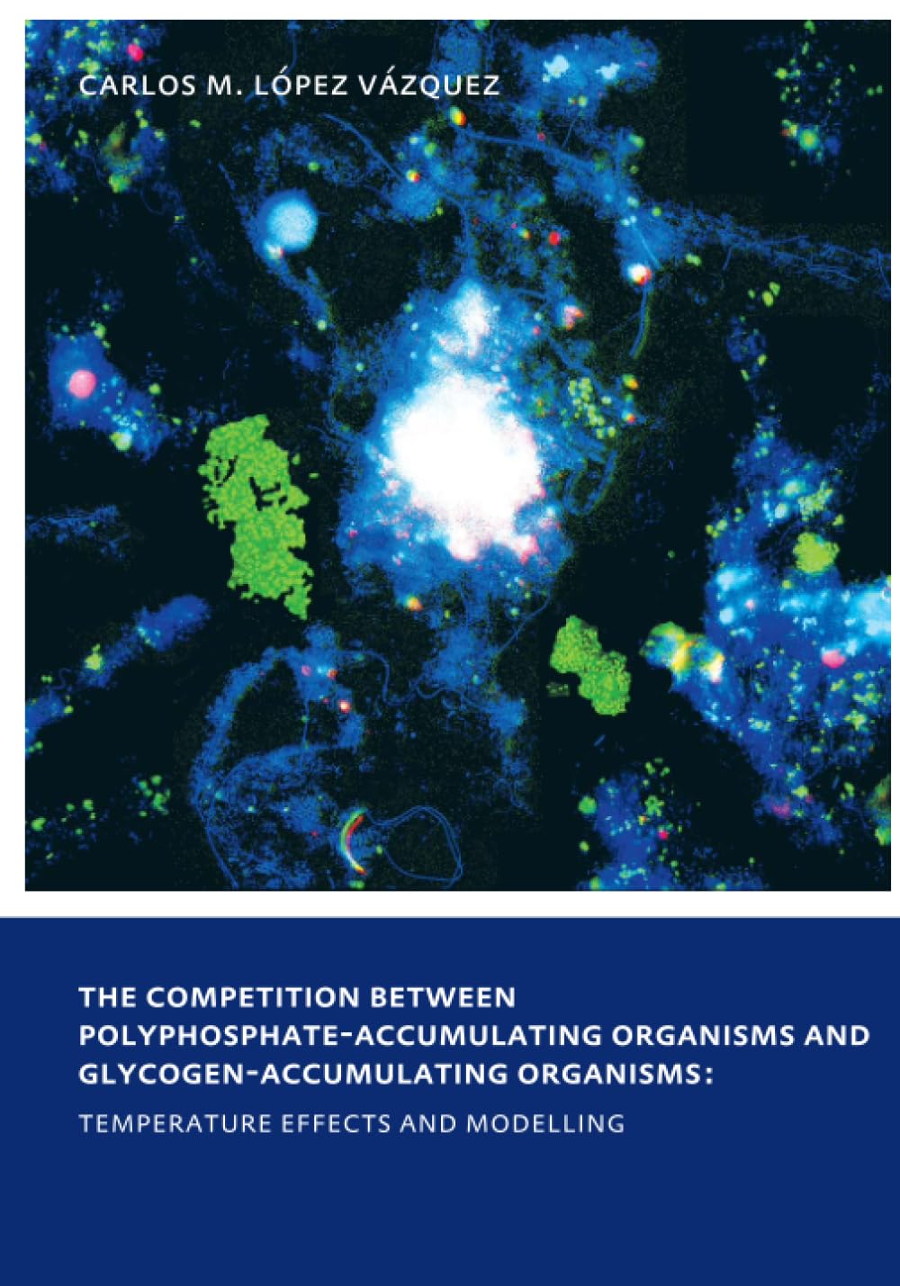 The Competition between Polyphosphate-Accumulating Organisms and Glycogen-Accumulating Organisms: Temperature Effects and Modelling Business & Technology