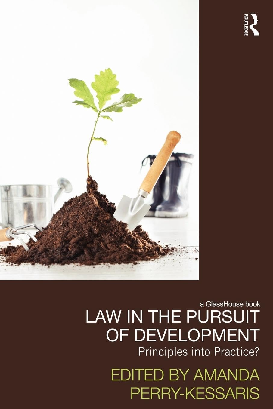 Law in the Pursuit of Development book