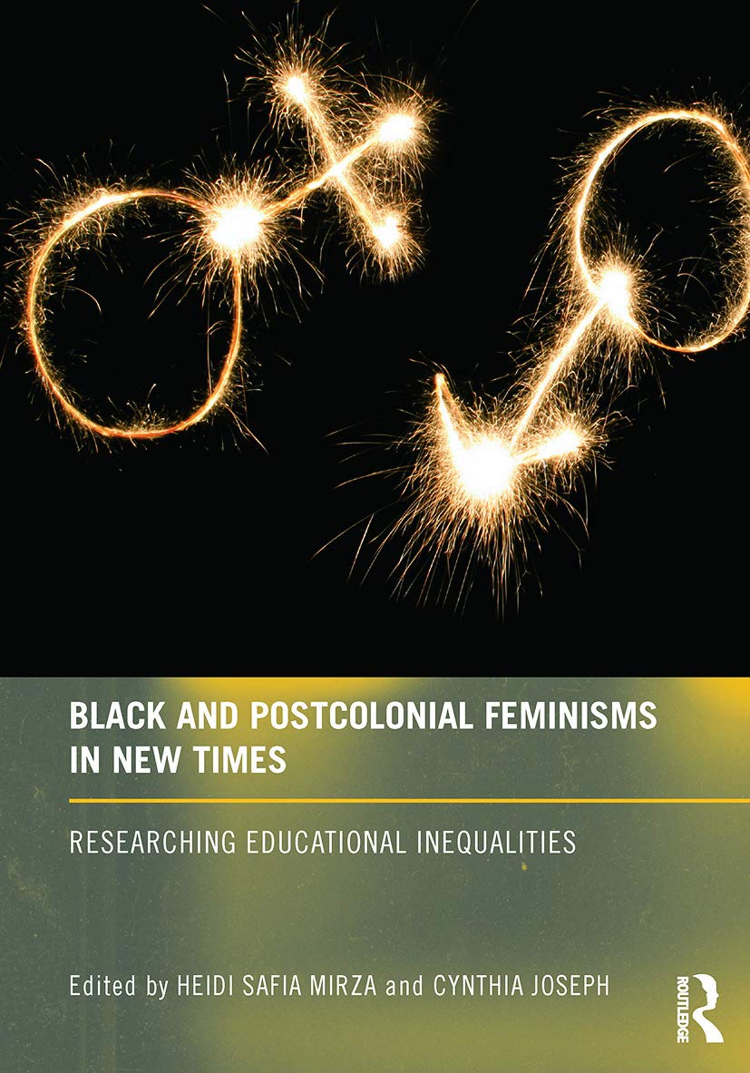Black and Postcolonial Feminisms in New Times: Researching Educational Inequalities Books
