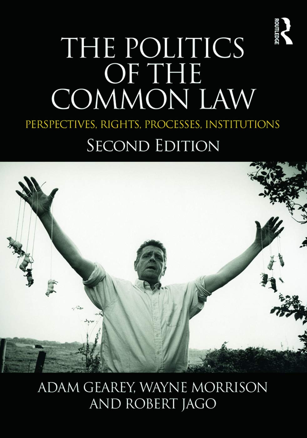 The Politics of the Common Law: Perspectives, Rights, Processes, Institutions Law