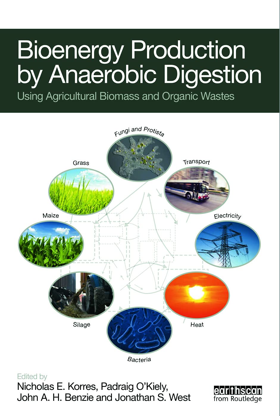 Bioenergy Production by Anaerobic Digestion Social Sciences