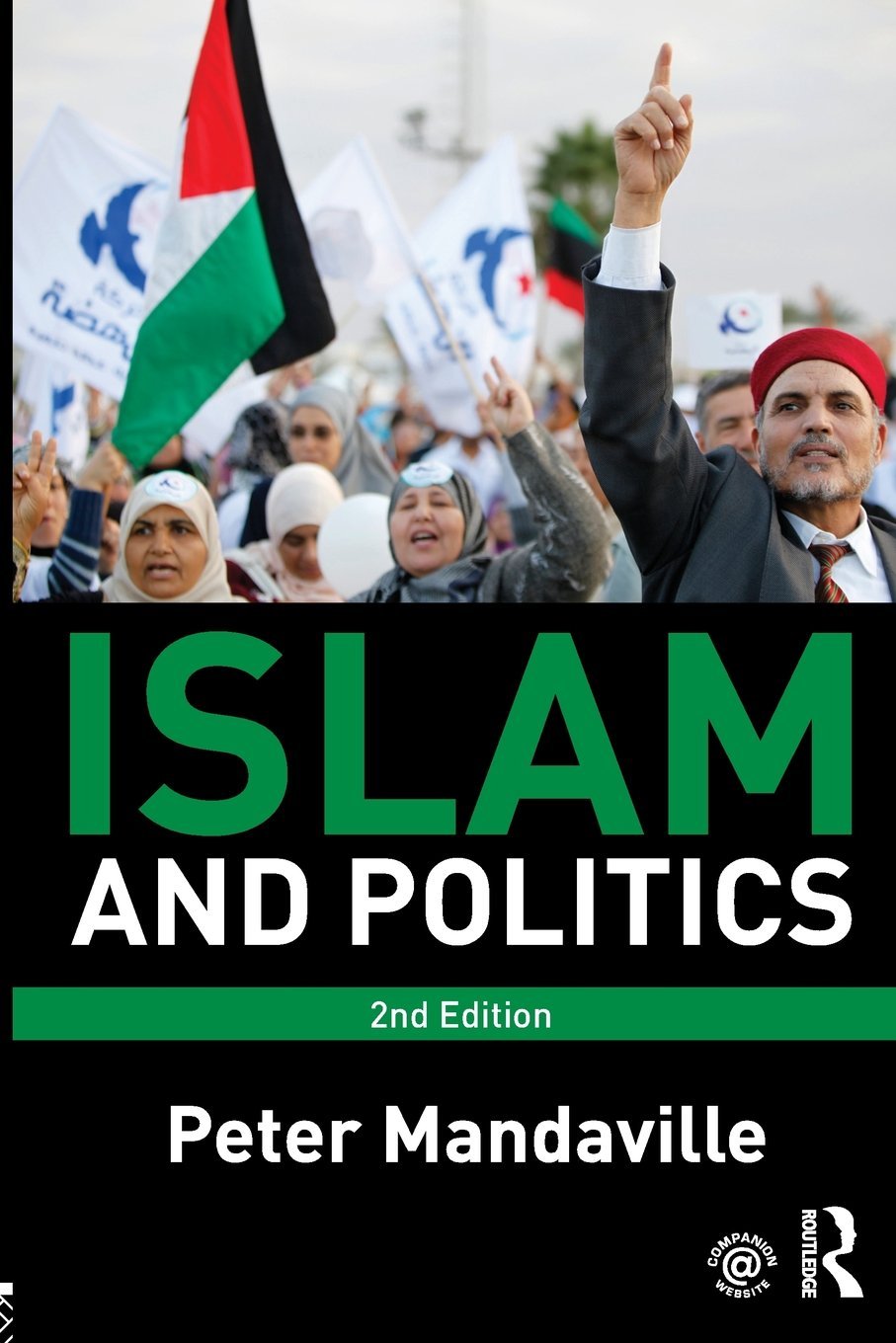 Product Image: Islam and Politics