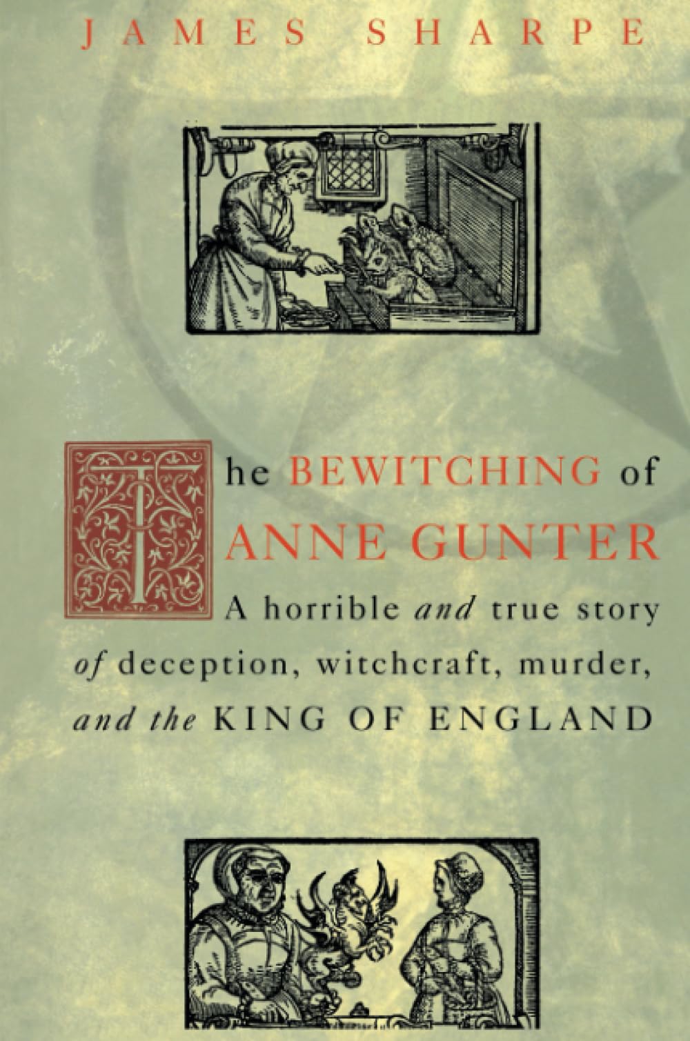 The Bewitching of Anne Gunter book