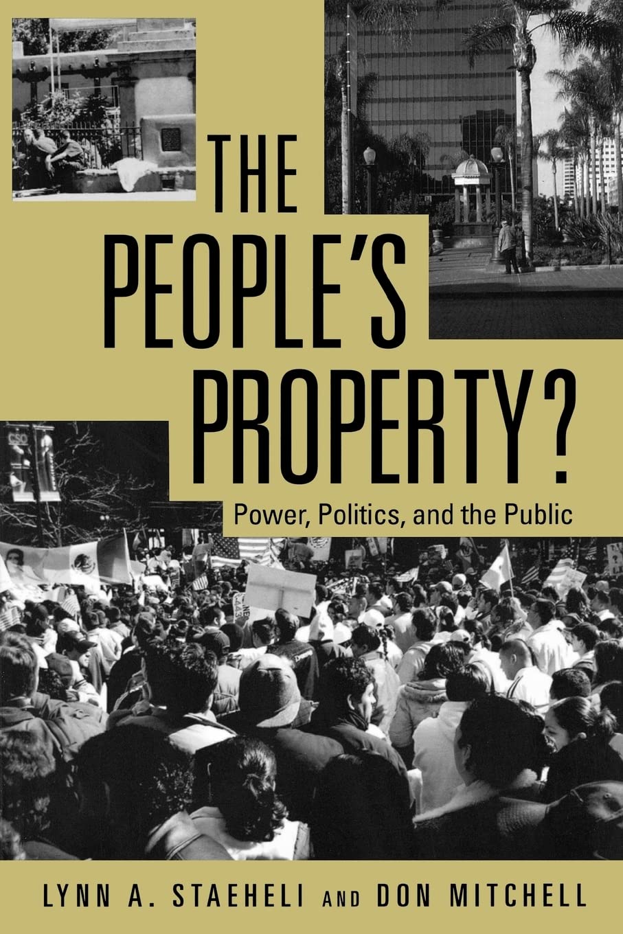 The People's Property?: Power, Politics, and the Public. Law