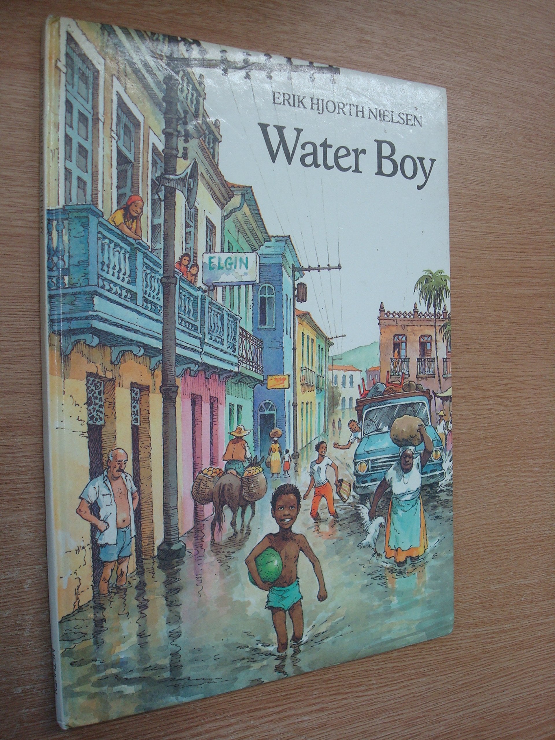 Water Boy: A Story of Two Boys from a Little Town in Brazil Books