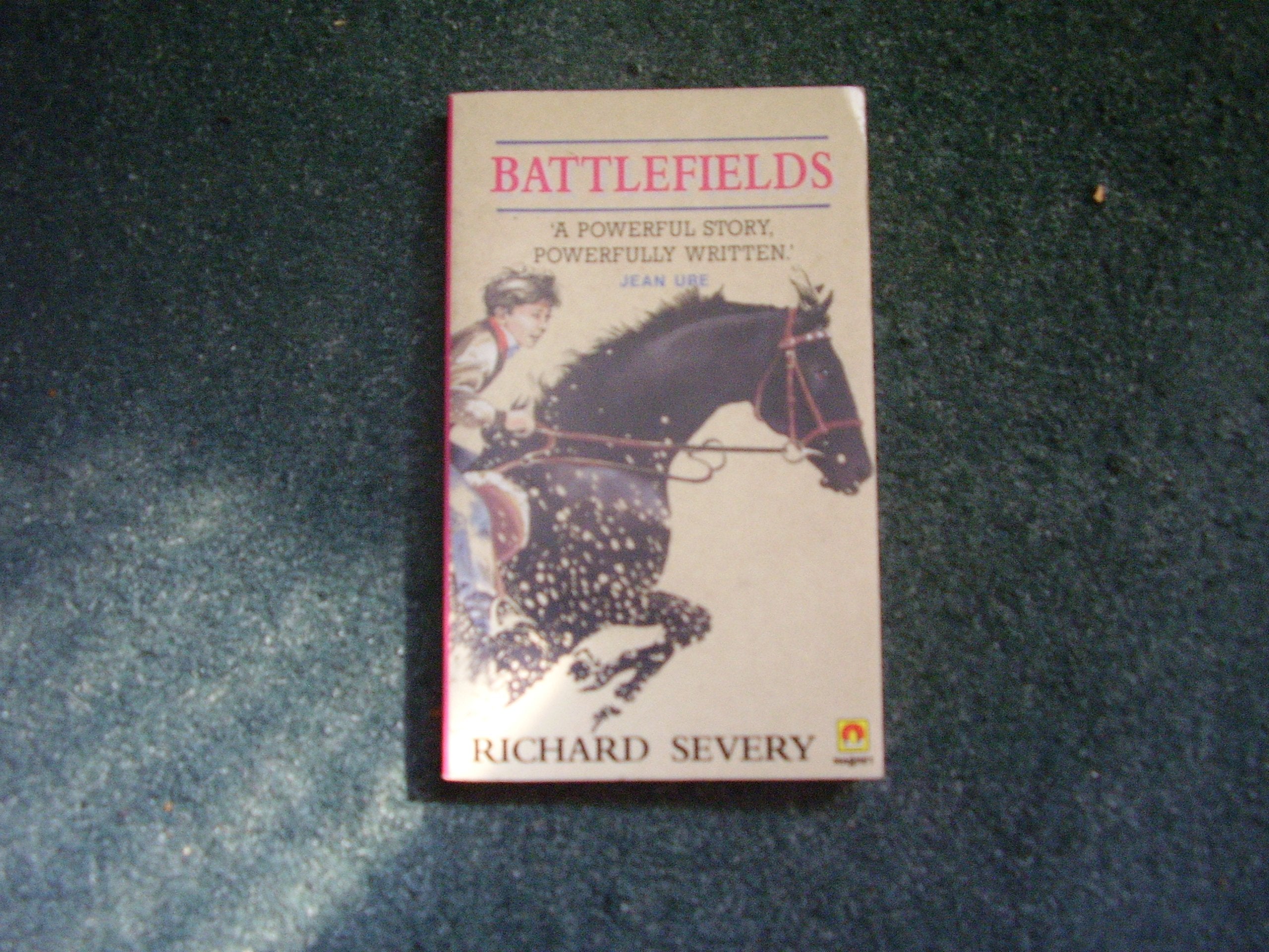 Battlefields book