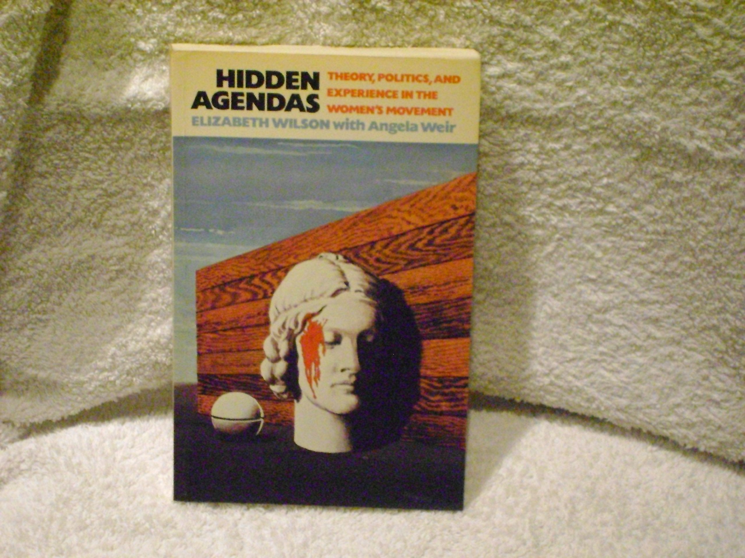 Hidden Agendas: Theory, Politics and Experience in the Women's Movement Books