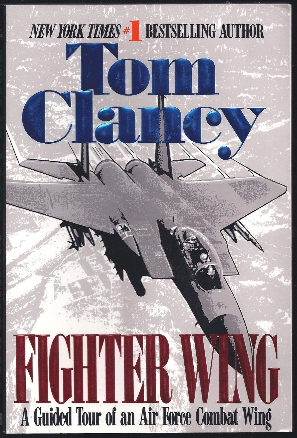 Fighter Wing: A Guided Tour of an Air Force Combat Wing Politics & History