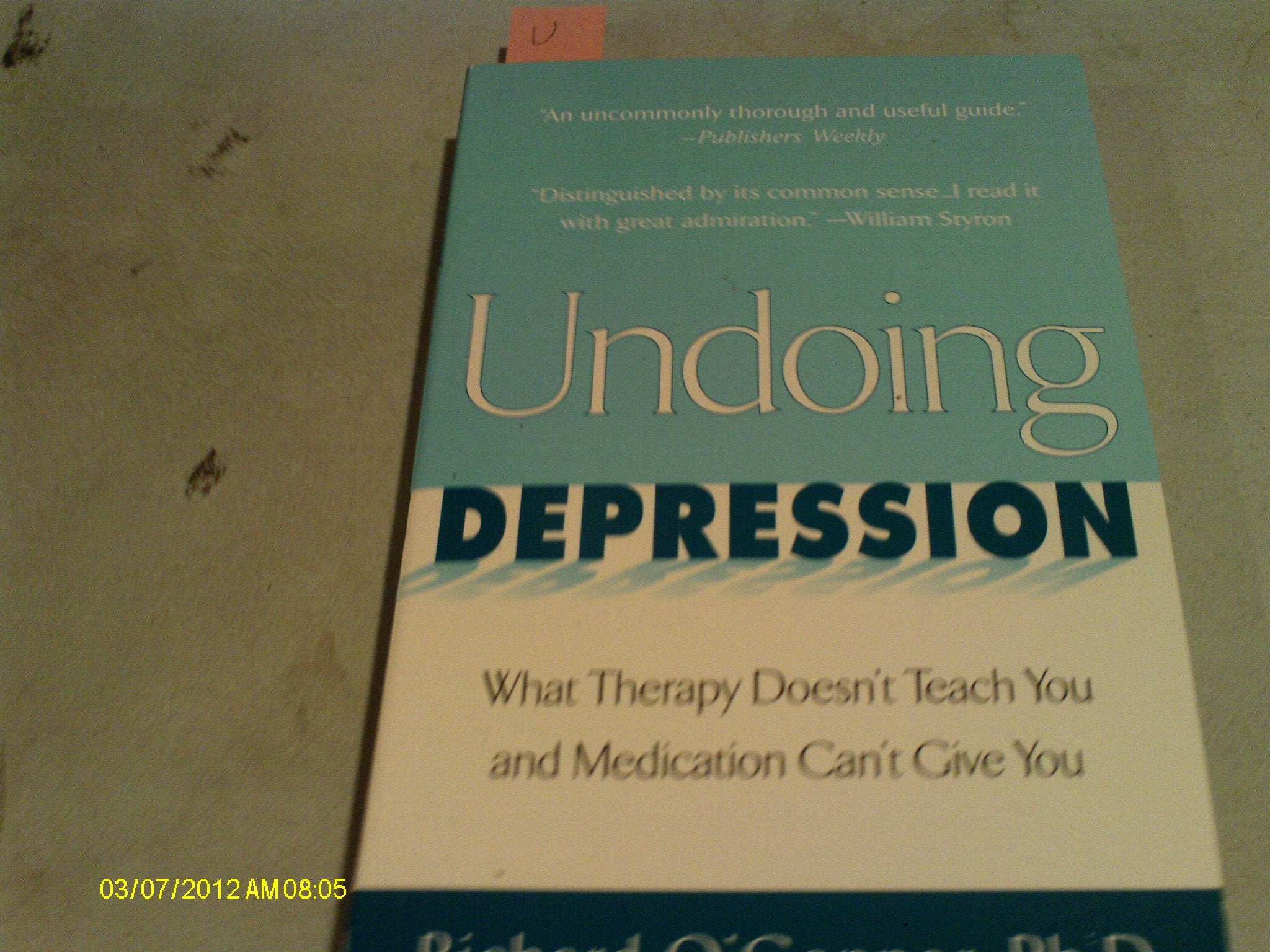 Undoing Depression: What Therapy Doesn't Teach You and Medication Can't Give You Health, Nutrition & Fitness