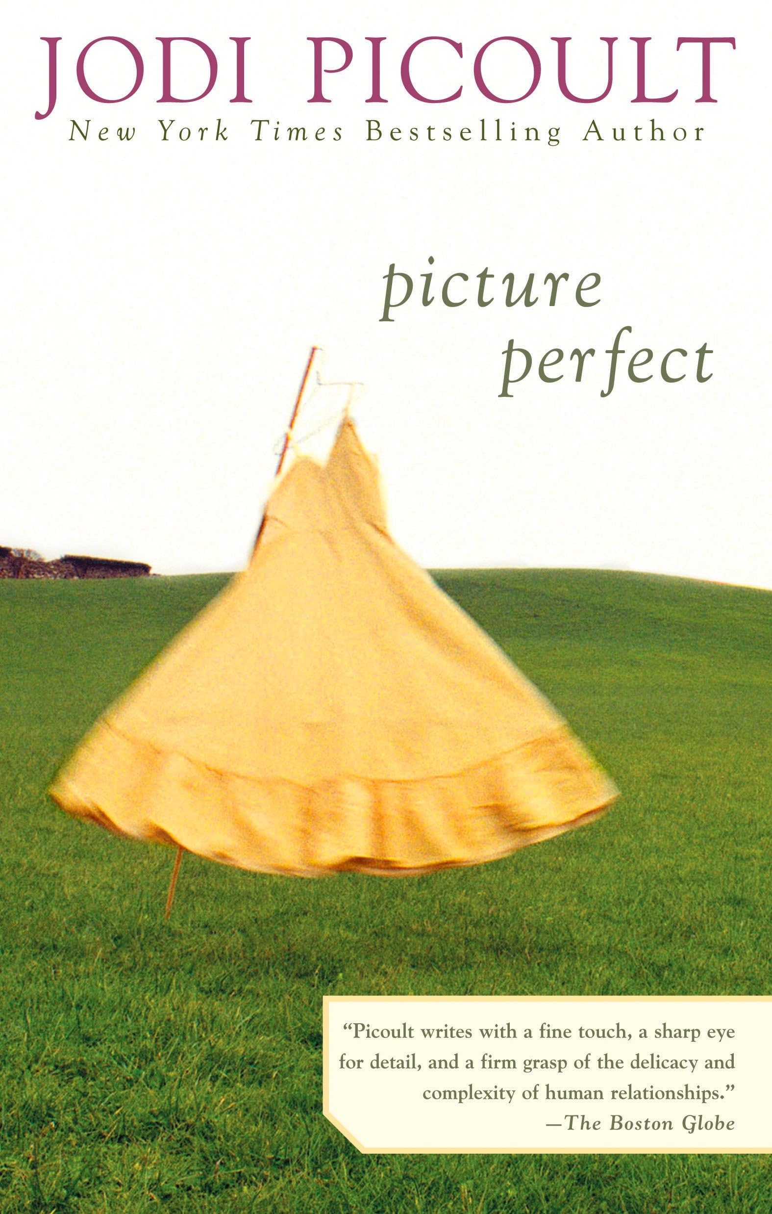 Picture Perfect Contemporary literature Books