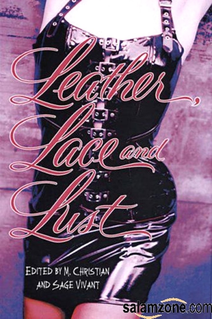 Leather, Lace and Lust: Putting It On To Get Off Contemporary literature