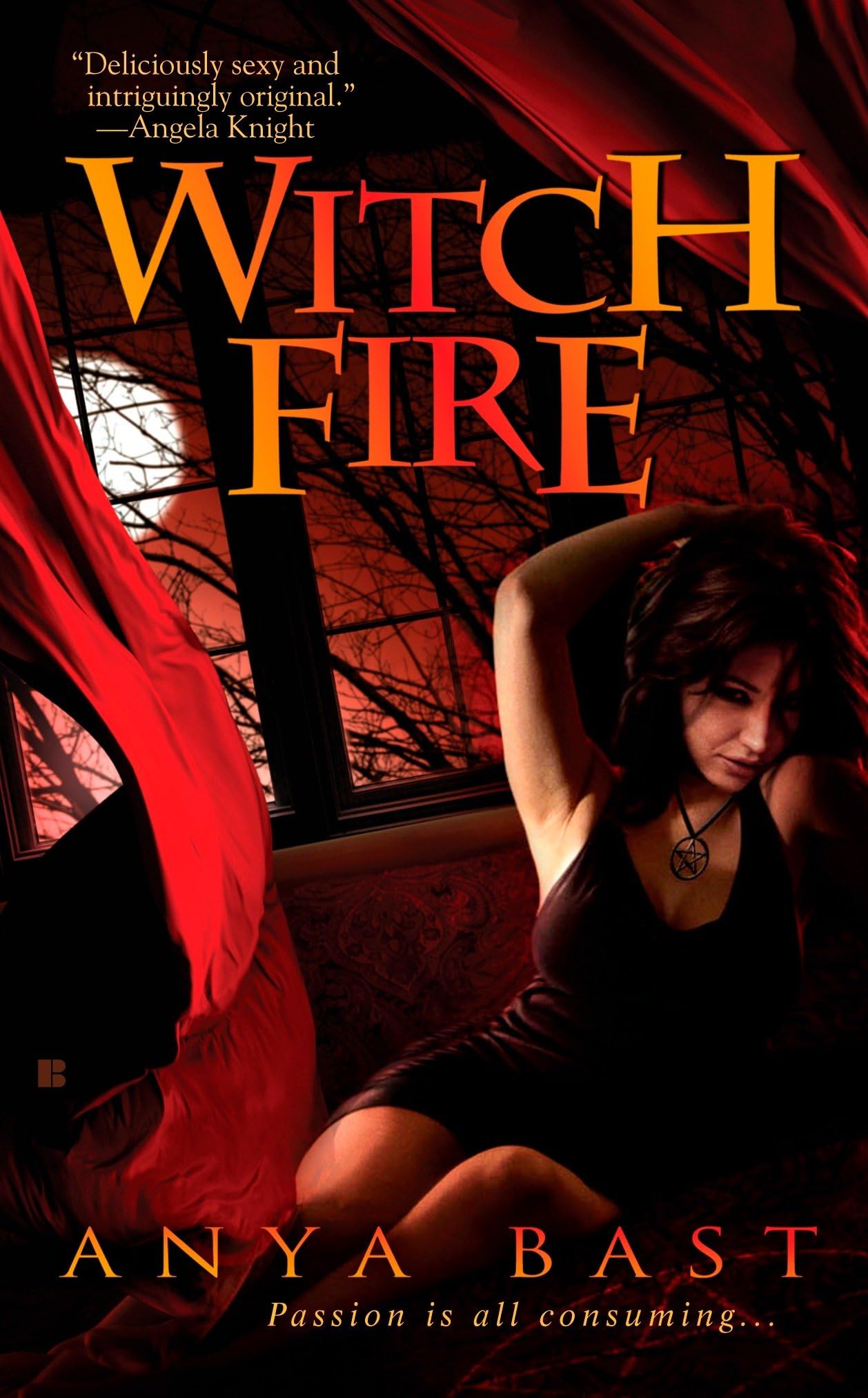 Witch Fire Contemporary literature Books