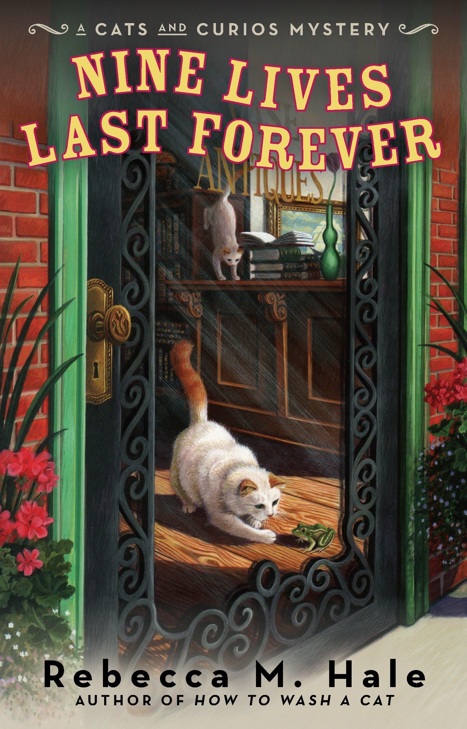 Nine Lives Last Forever (Cats and Curios Mystery, Band 2) Contemporary literature