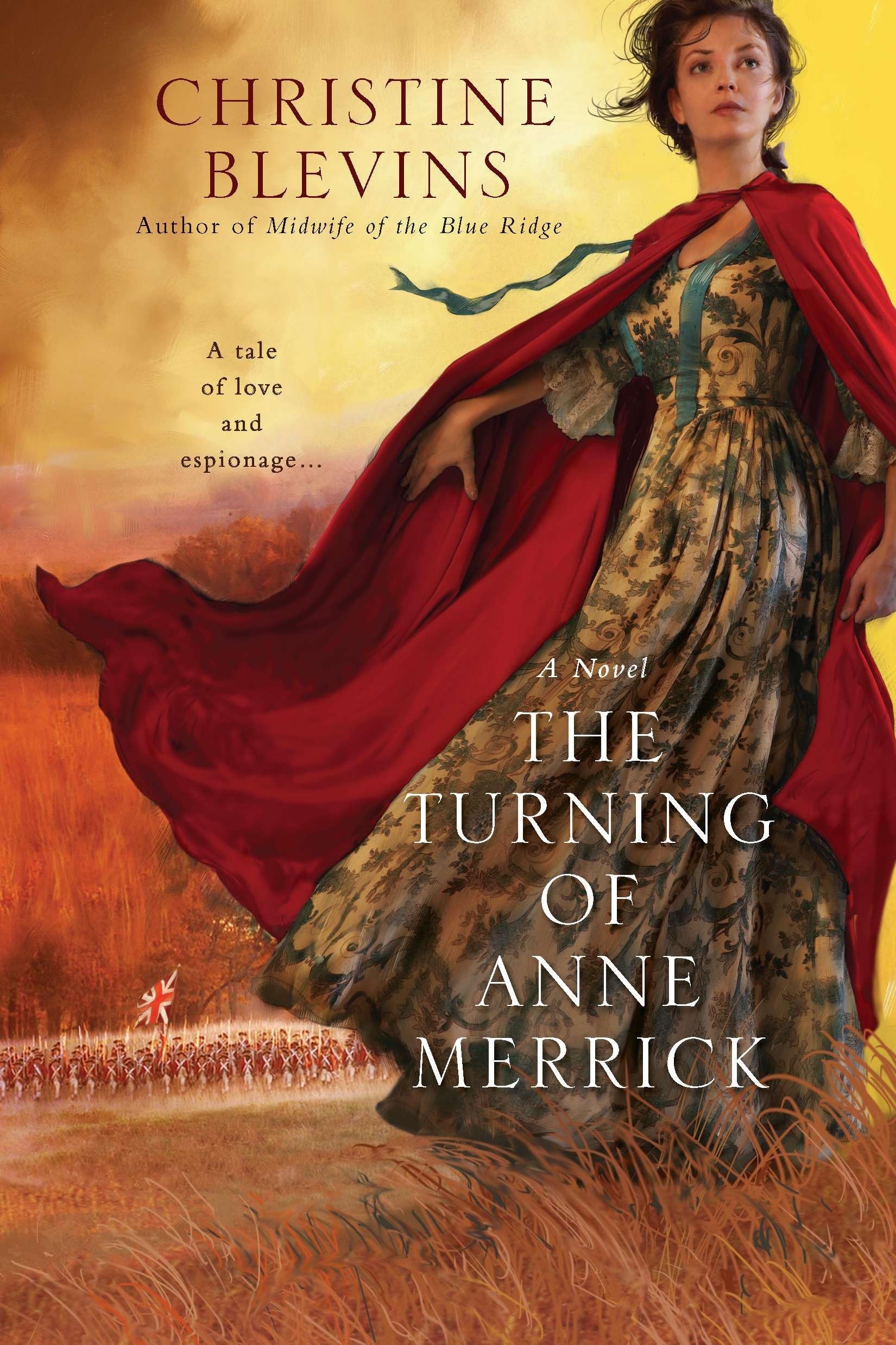 The Turning of Anne Merrick book