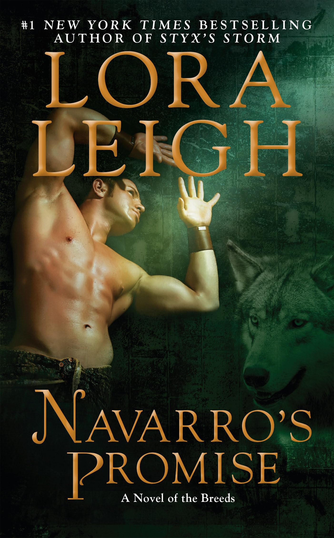 Navarro's Promise Contemporary literature Books