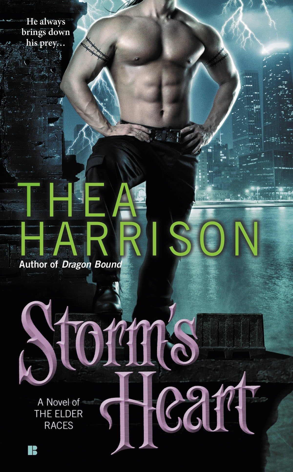 Product Image: Storm's Heart