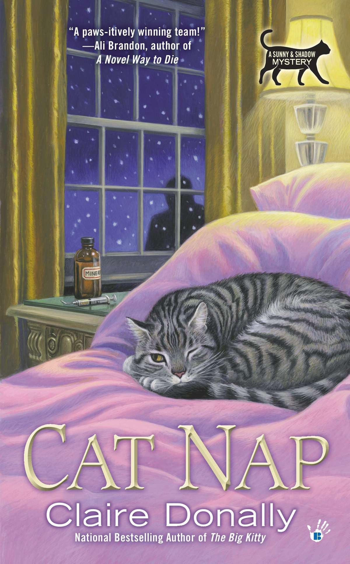Cat Nap (A Sunny & Shadow Mystery, Band 2) Contemporary literature