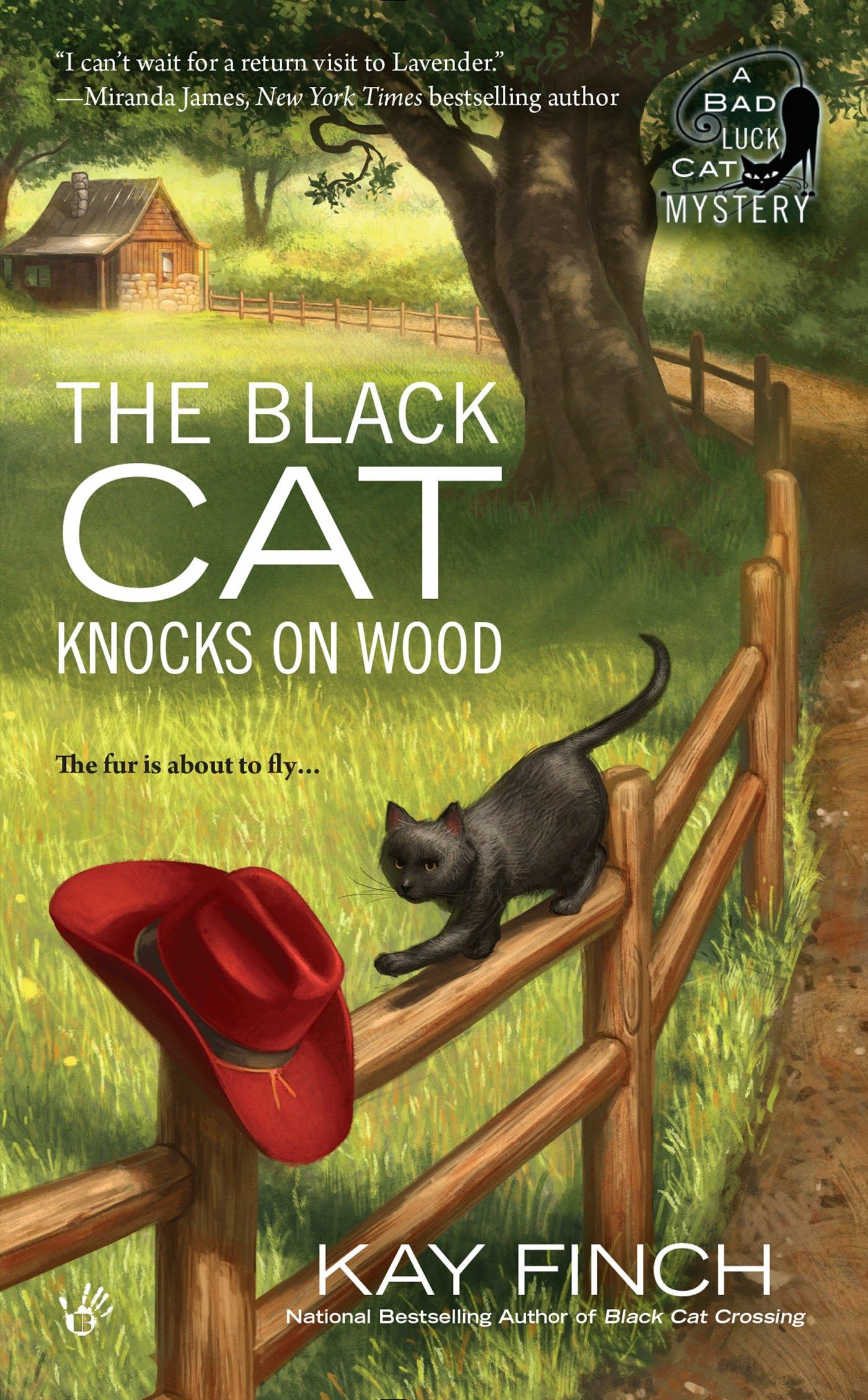The Black Cat Knocks on Wood: A Bad Luck Cat Mystery Contemporary literature