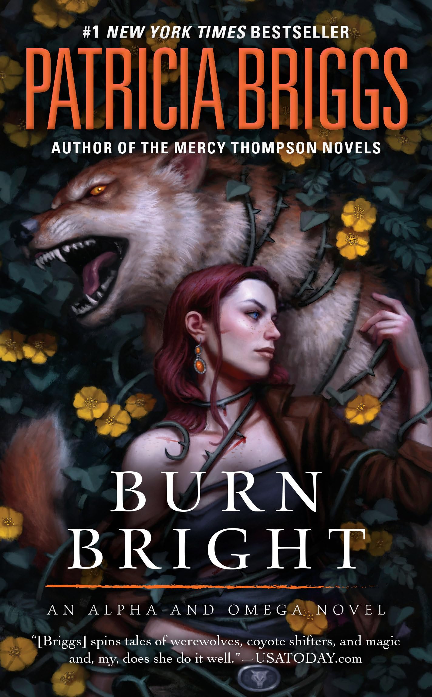 Burn Bright (Alpha and Omega, Band 5) Contemporary literature