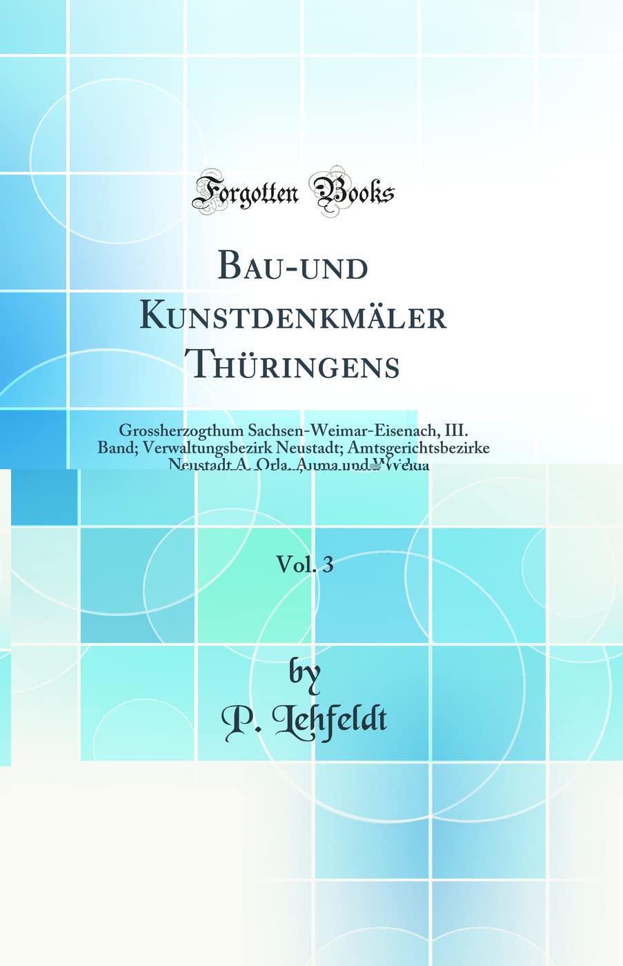 Bau-und Kunstdenkmäler Thüringens, Vol. 3: Grossherzogthum Sachsen-Weimar-Eisenach, III. Band; Verwaltungsbezirk Neustadt; Amtsgerichtsbezirke Neustadt A. Orla, Auma und Weida (Classic Reprint) Architecture