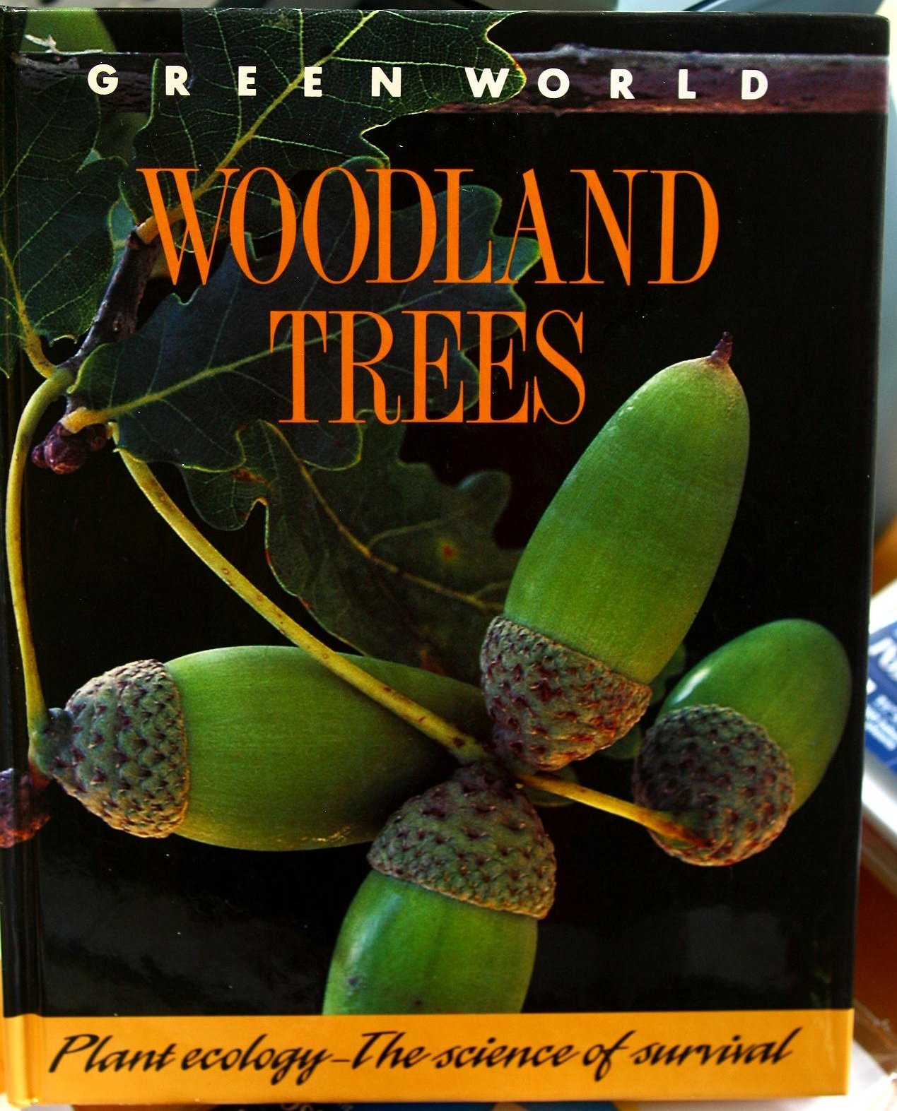 Product Image: Green World: Woodland Trees