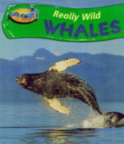 Product Image: Take-Off: Really Wild Whale Paperback