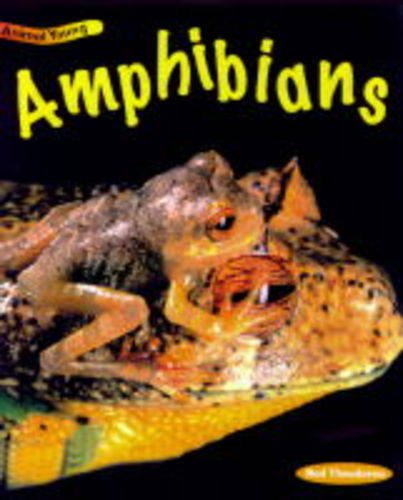 Amphibians (Animal Young) Non-fiction
