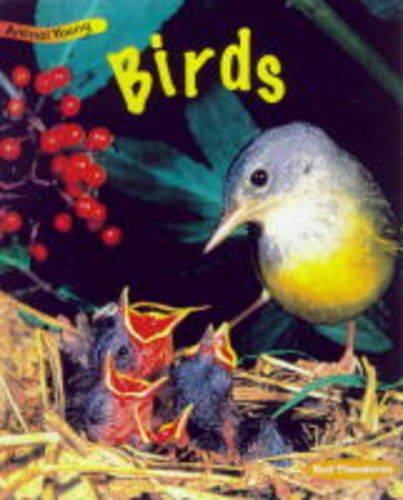 Product Image: Birds (Animal Young)