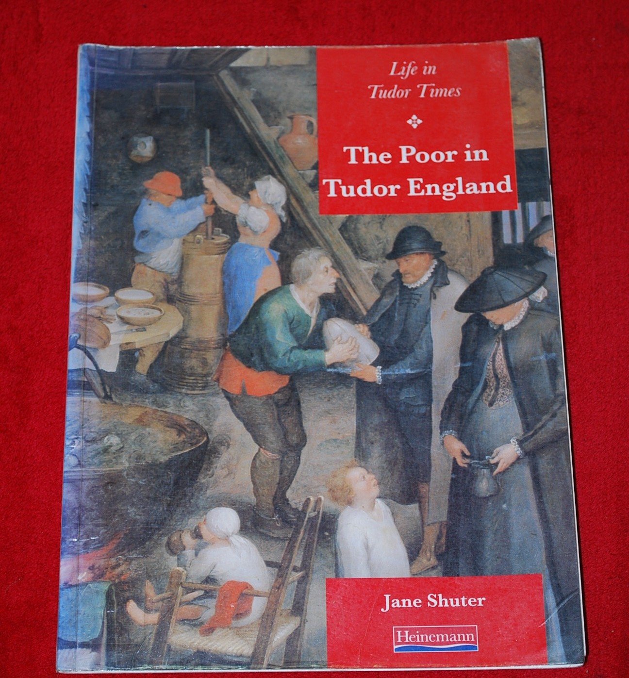 History Topic Books: Life in Tudor Times: The Poor in Tudor England (Paperback) Non-fiction