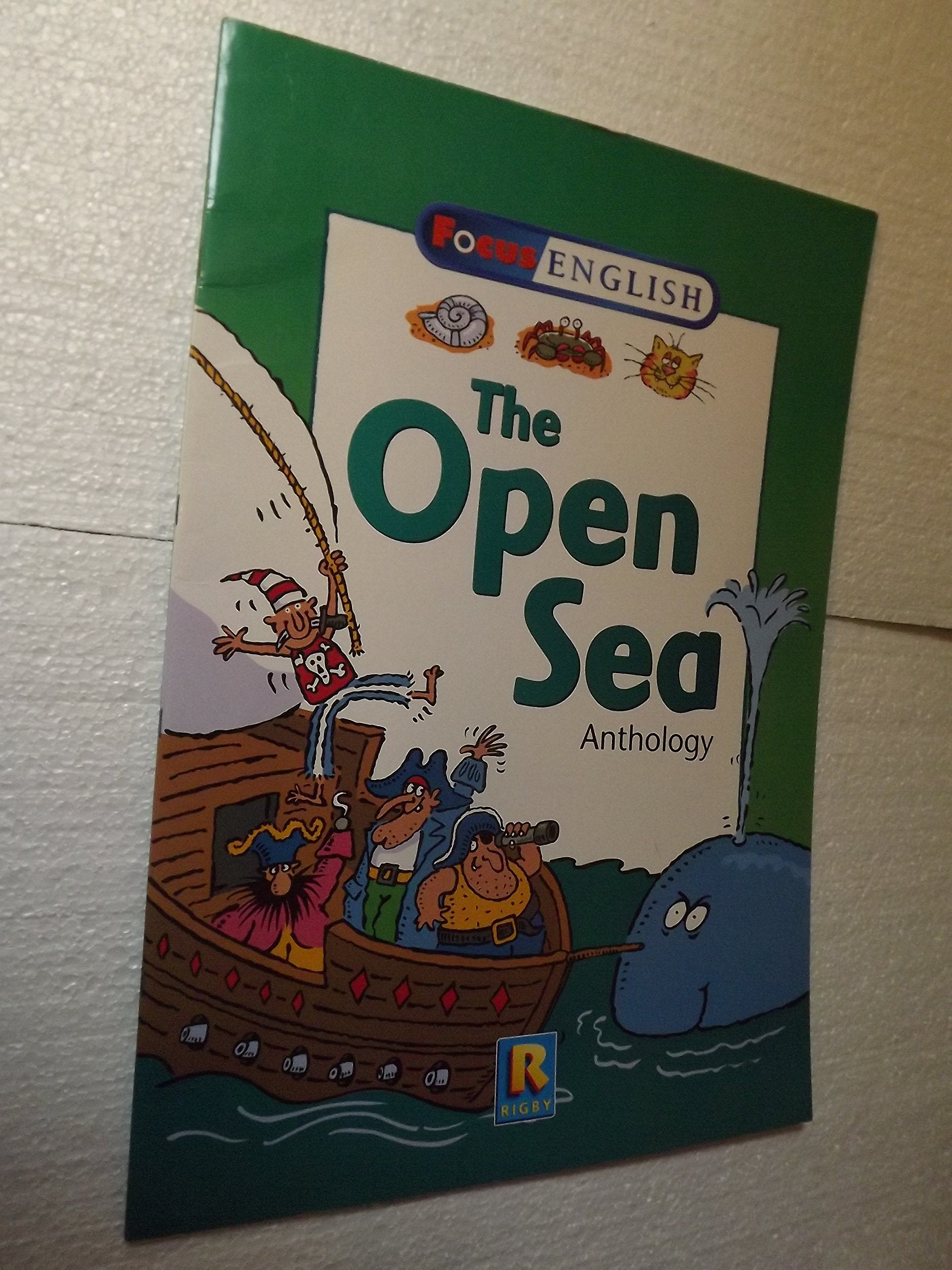 Product Image: Focus English 2, Big Book Term 3