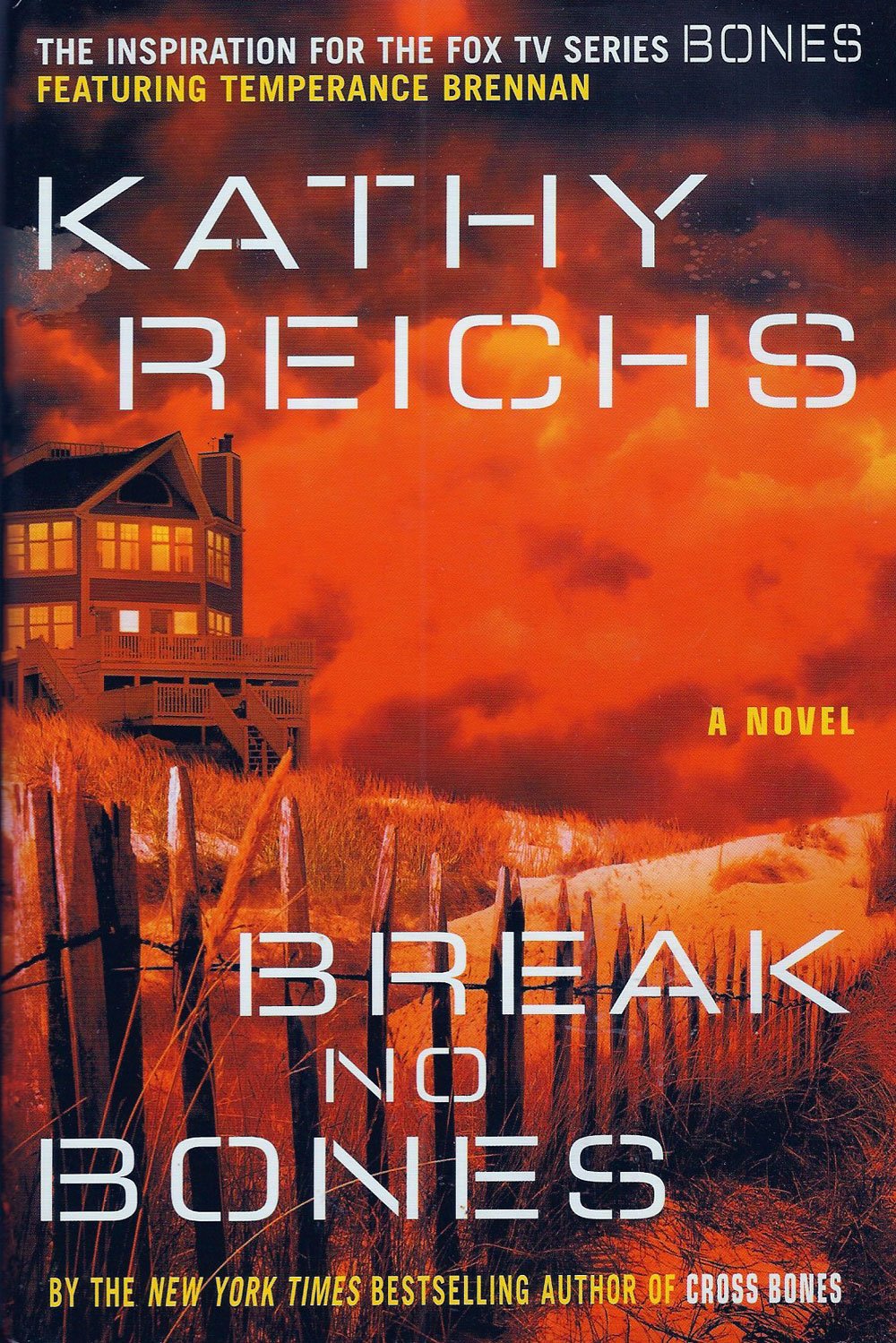 Break No Bones Contemporary literature