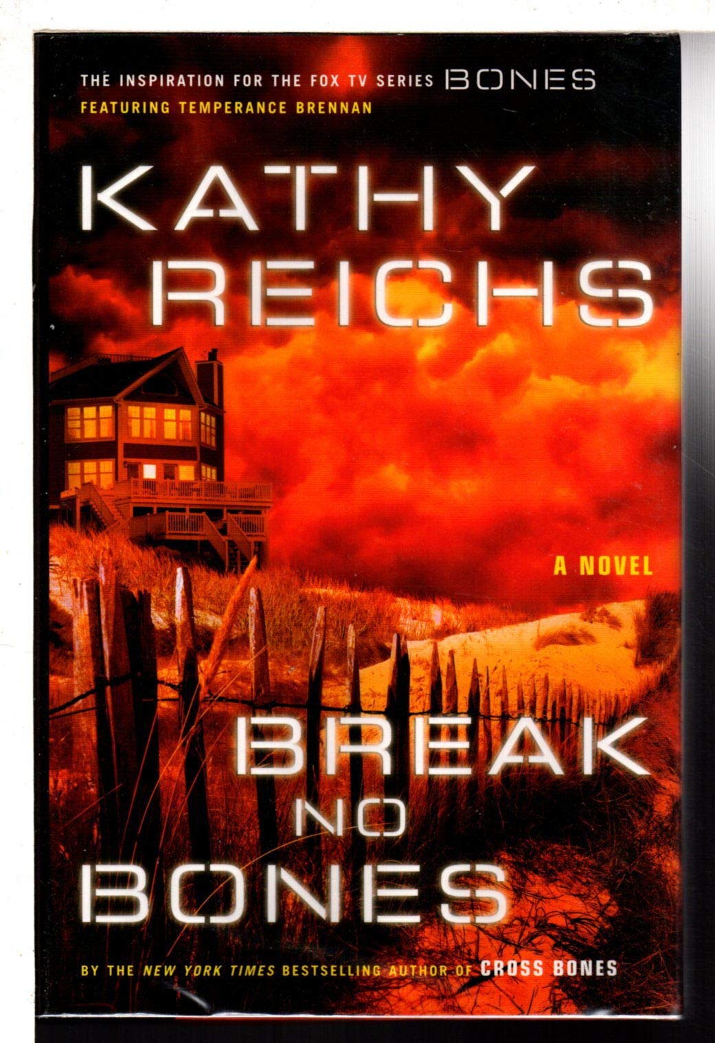 Break No Bones Contemporary literature Books