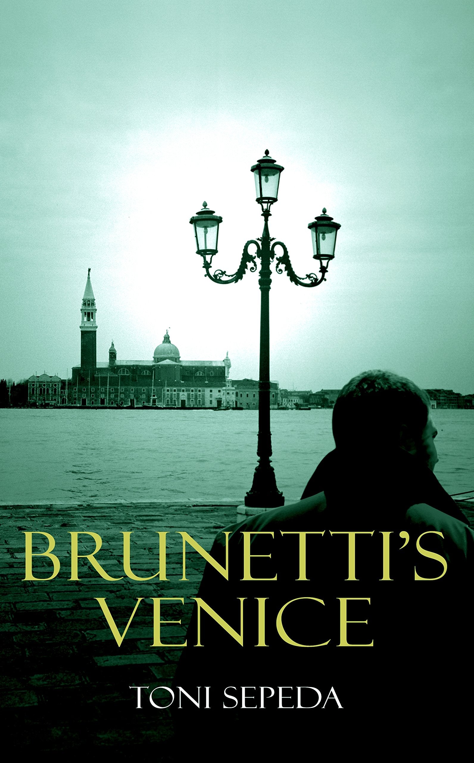 Brunetti's Venice: Walks Through the Novels Leisure, Home & Garden