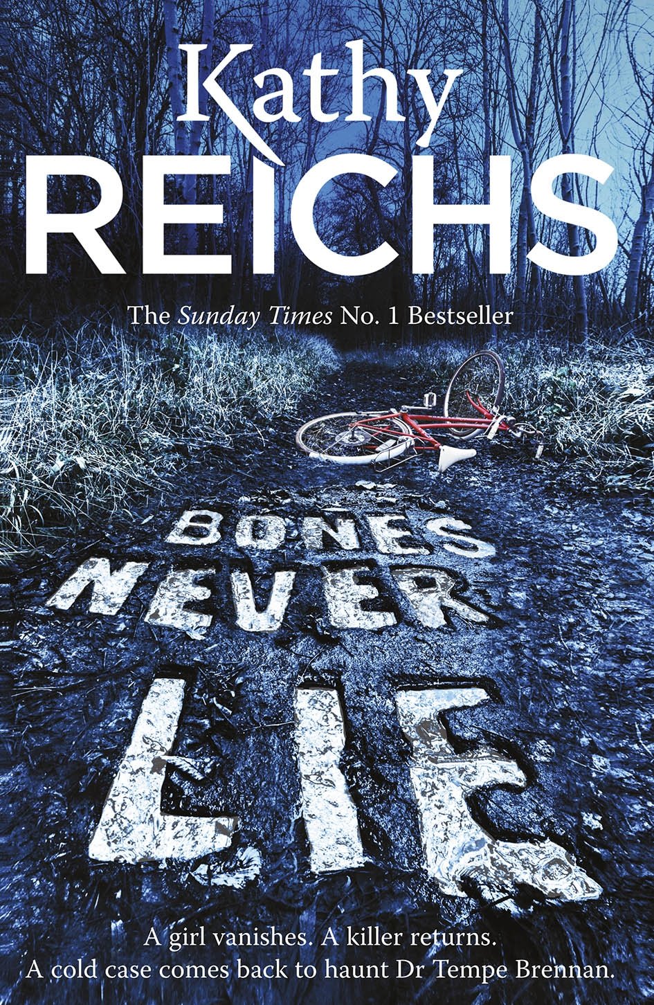Bones Never Lie Contemporary literature Books
