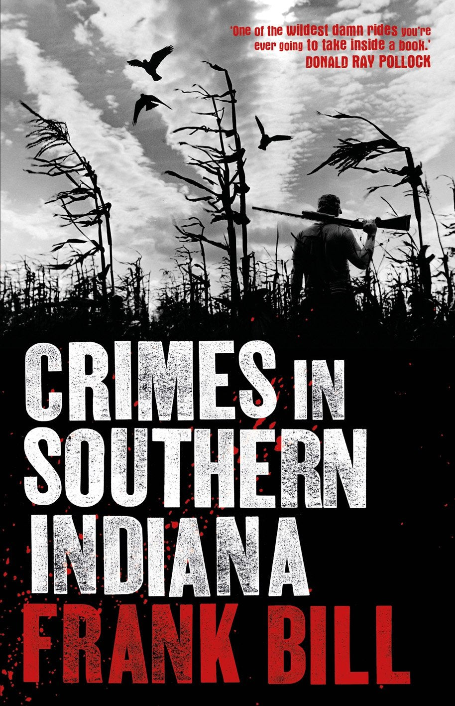 Product Image: Crimes in Southern Indiana