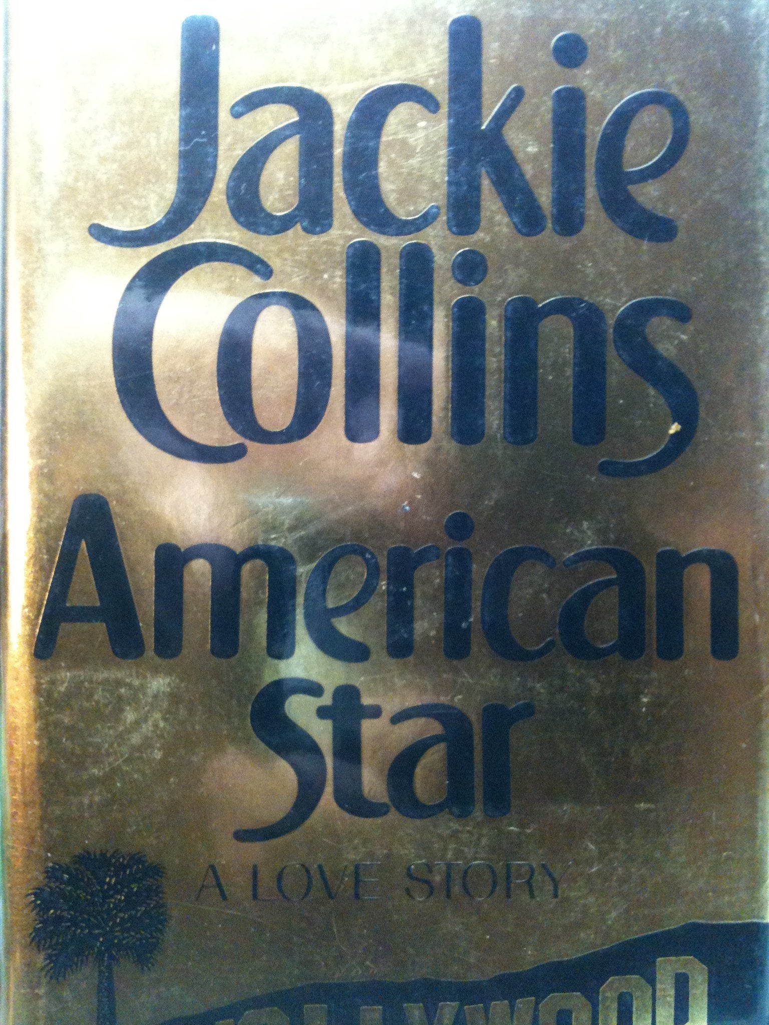 American Star: A Love Story Contemporary literature
